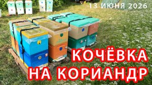 МОЯ ПЕРВАЯ В ЖИЗНИ КОЧЁВКА НА КОРИАНДР