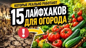 Огород в Июне: 15 лайфхаков, о которых молчат соседи!
