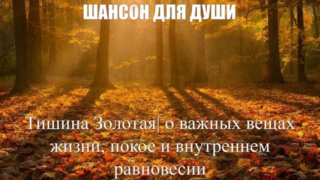 ШАНСОН ДЛЯ ДУШИ|Тишина Золотая|ЖИЗНЕННЫЕ ПЕСНИ