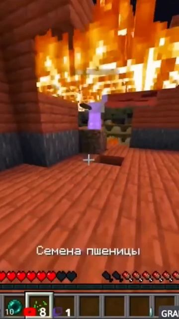Minecraft Лучшее #1443