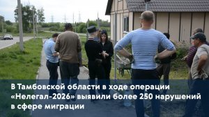 В Тамбовской области в ходе операции «Нелегал-2026» выявили более 250 нарушений в сфере миграции