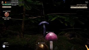 Mushroom coop game!