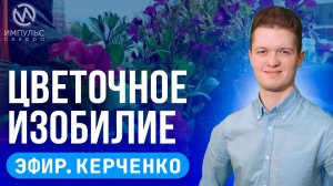 Эфир. Цветочное изобилие. Новоселье у сов. Яркий праздник лета.