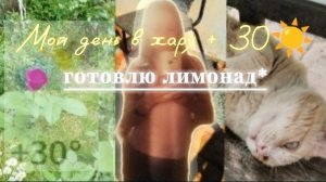 Мой день в жару +30☀️Худею🌷