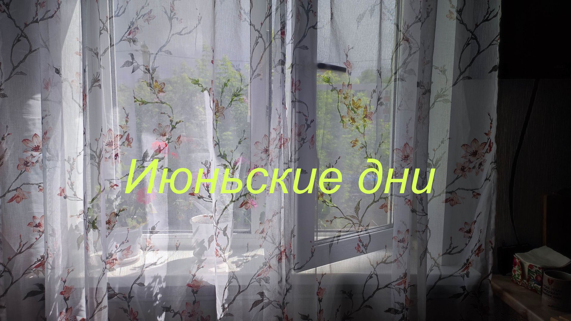 Июньская уютность в грозу. смотреть онлайн