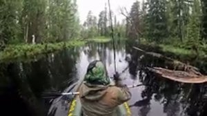 ТАКОГО НЕ ОЖИДАЛА ДАЖЕ СОБАКА. СПЛАВ ПО ТАЁЖНОЙ РЕКЕ. РЫБАЛКА НА РЕКЕ. РЫБАЛКА С ЛОДКИ.