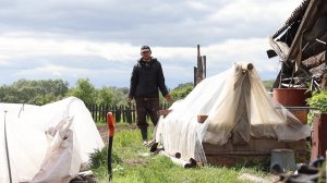 ДОМ В ДЕРЕВНЕ ПРОКОРМИТ,ОГОРОДНЫЕ ХЛОПОТЫ ЗАВЕРШАЮТСЯ.