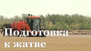 В ЛНР готовятся к сбору озимой пшеницы