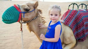 Влог: путешествие по пустыне, Сафари в Дубаи  / Safari in desert Dubai