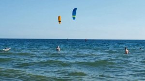 Первая встреча с морем в  станице Благовещенской. Море цветёт в  июне.