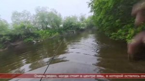 25.06.2026 Сахалинские блоги. ОСТРОВНОЙ. Сима Сахалин Спокойно