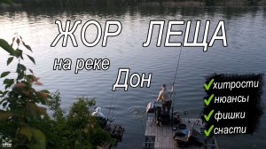 Как поймать много леща | Мощное течение не помеха.Рыбалка с фидером на реке Дон.
