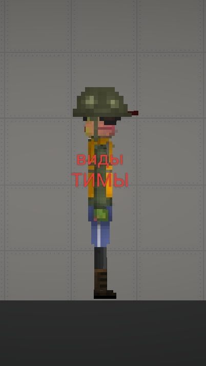 виды ТИМЫ | melon sandbox shorts