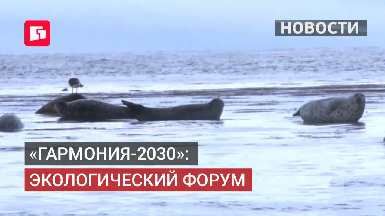 На форуме «Гармония-2030» обсудили экологию и развитие порта.24/06/2026.