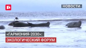 На форуме «Гармония-2030» обсудили экологию и развитие порта.24/06/2026.