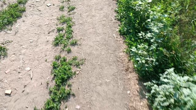 Ещё анекдоты