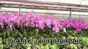 Поездка в орхотеплицы.🤗