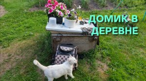 Жизнь в деревне начинается рано Наловил рыбки котам Поел клубники Дыньки растут Домик в деревне