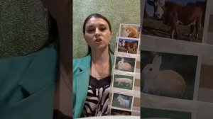 животные и их детёныши