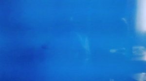 Герои летят на вертолёте на остров через ураган. 😱