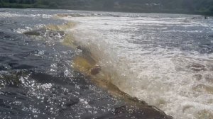 Лето на порогах реки Луга