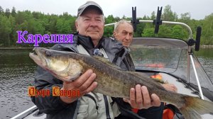 Судак, Щука и Окунь. Рыбалка на озере Сандал. Карелия