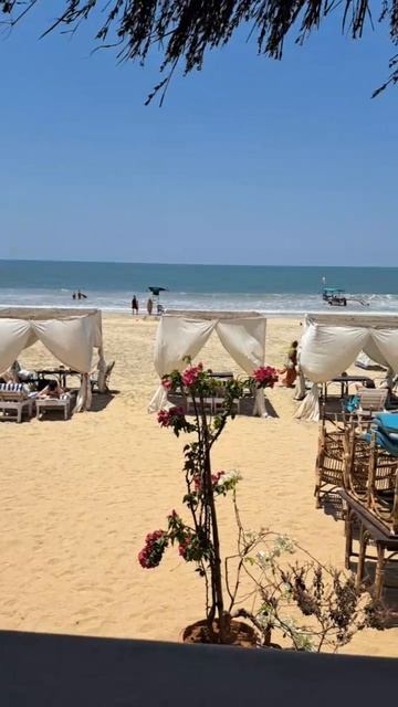 #Пляж 🏖️ #Палолем #ЮжныйГоа