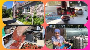 23-06-26.Жизнь в деревне.Заготовки из клубники.Подвязала перцы.