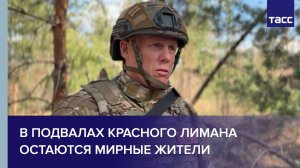 В подвалах Красного Лимана остаются мирные жители