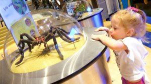 Детский музей науки - Развлечения для детей / Children's Museum Kids Pretend Play