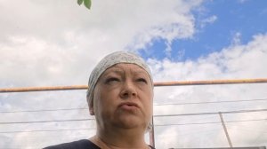 я всё ещё высаживаю цветы 23.06.26