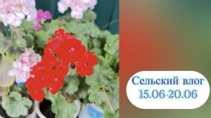 Сельский влог. 15.06-20.06