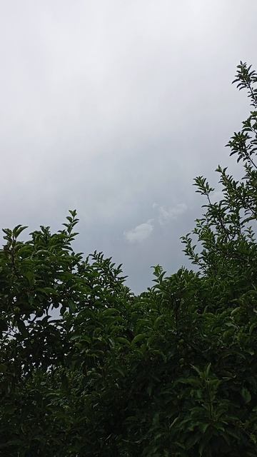 Близость