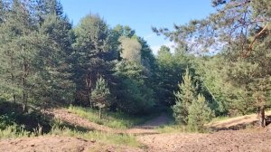 Мечты и реальность
