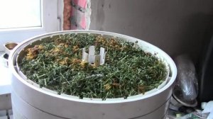 Чай из листьев винограда