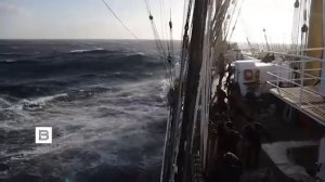 Барк «Крузенштерн» отмечает столетие со дня спуска на воду. Один из крупнейших парусников в мире про