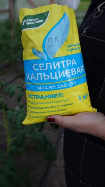 Вершинная гниль томатов — нехватка кальция и решение