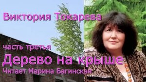 Аудиокнига Виктория Токарева _Дерево на крыше_ часть 3 Читает Марина Багинская