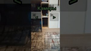 пять ночей с шанни не не выживаем с шанечкой угар и безумие