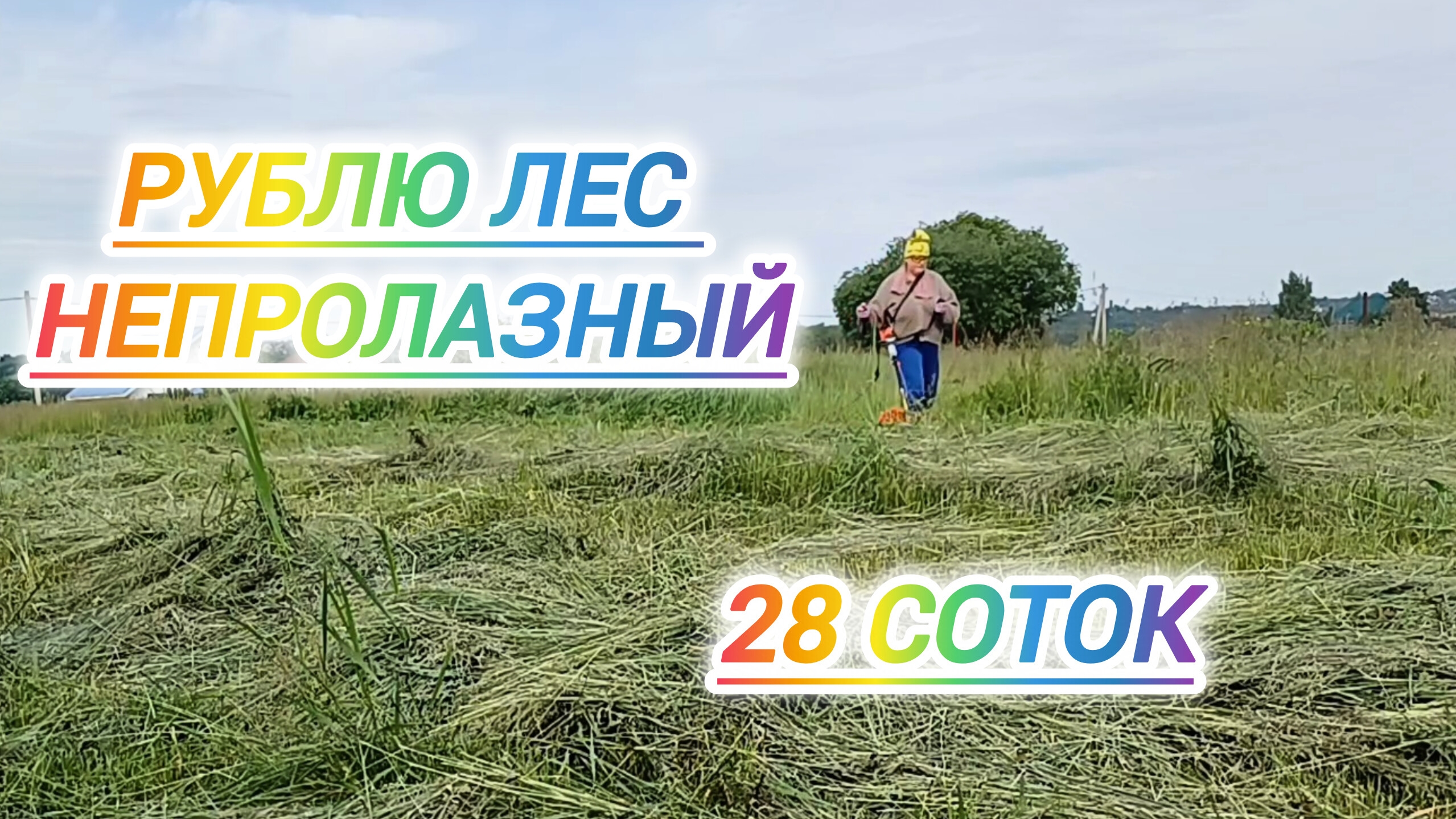 РУБЛЮ ЛЕС НЕПРОЛАЗНЫЙ. 28 СОТОК смотреть онлайн