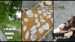 Конец апреля, работа, клумба, гипсовое рукоблудие