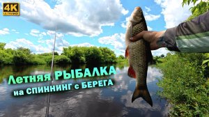 Спиннинг с берега. Летняя РЫБАЛКА на ГОЛАВЛЯ и ЖЕРЕХА