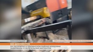 На лесопилке в Чамзинском районе Мордовии задержаны 12 нелегальных мигрантов