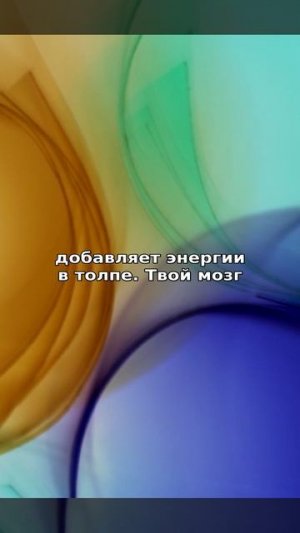 Пять шкал личности: скрытый код твоих решений