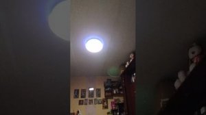 влок с реборном