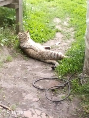 короче говоря 5 дней дома