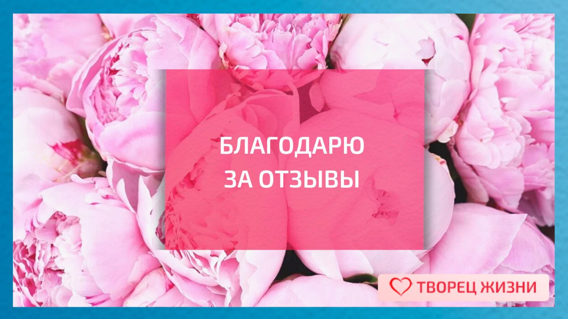 Отзывы