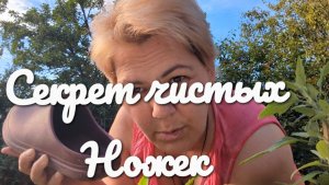 Пофигизм и философия. «Жизнь в деревне»