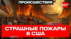 Столбы дыма и огненные смерчи. 11 американских штатов во власти лесных пожаров