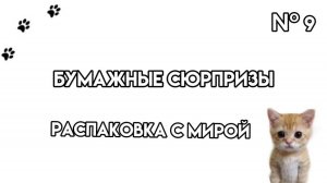 Распаковка бумажных сюрпризов с Мирой